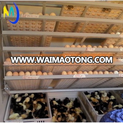 hot sale!!! 2015 new product Mujia brand egg-hatching-machine-price